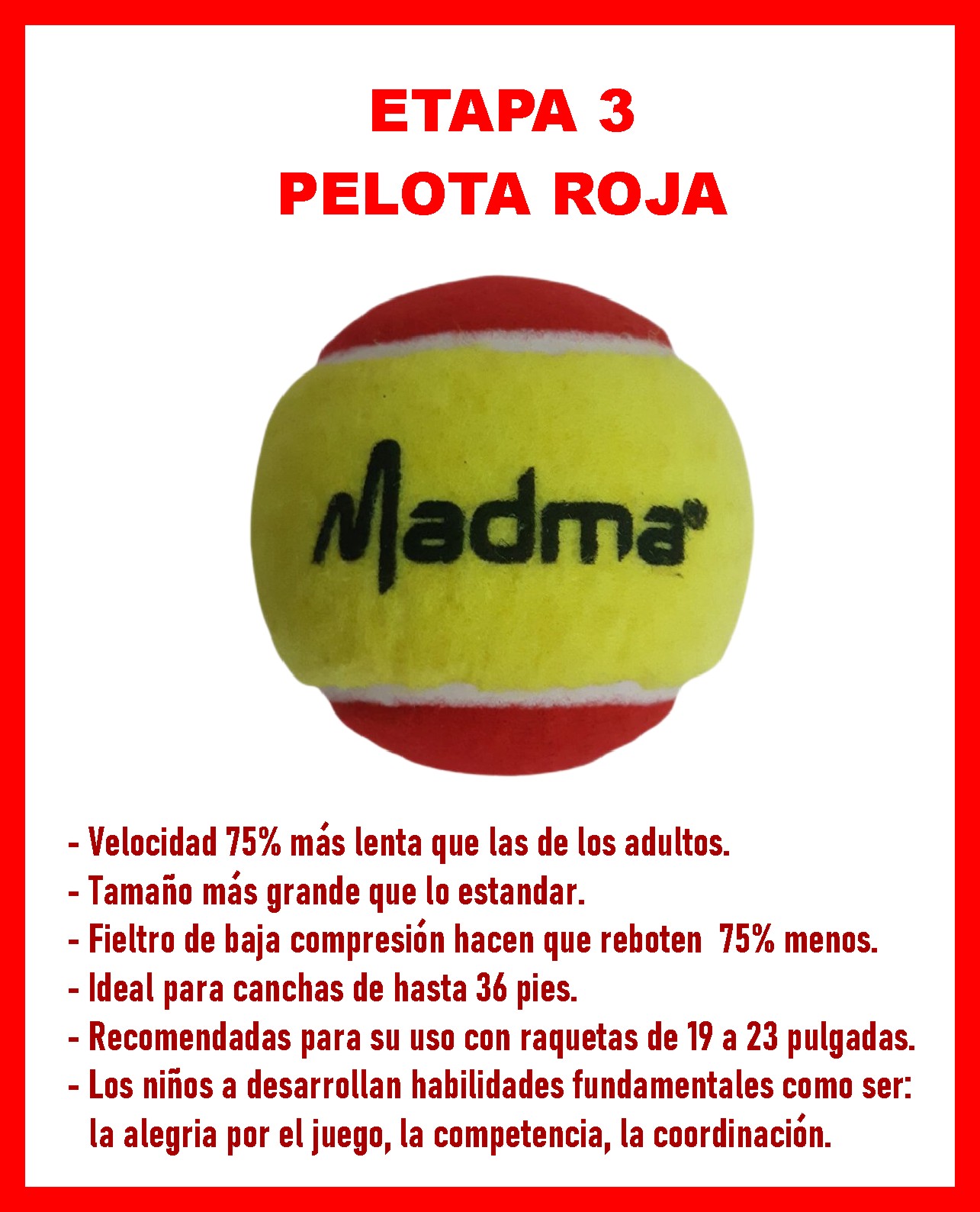 Caja 3 Pelotas De Tenis Madma Baja Presión - Image 9